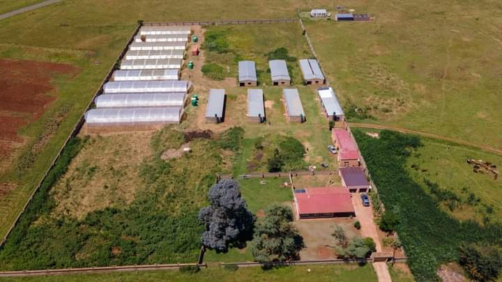 Zuurbekom 16 Zuurbekom 16