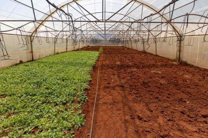 Zuurbekom 17 Zuurbekom 17