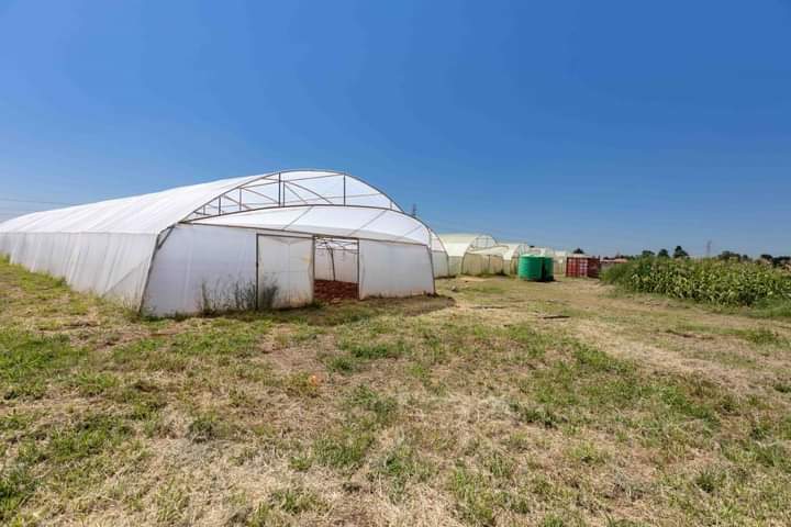 Zuurbekom 6 Zuurbekom 6